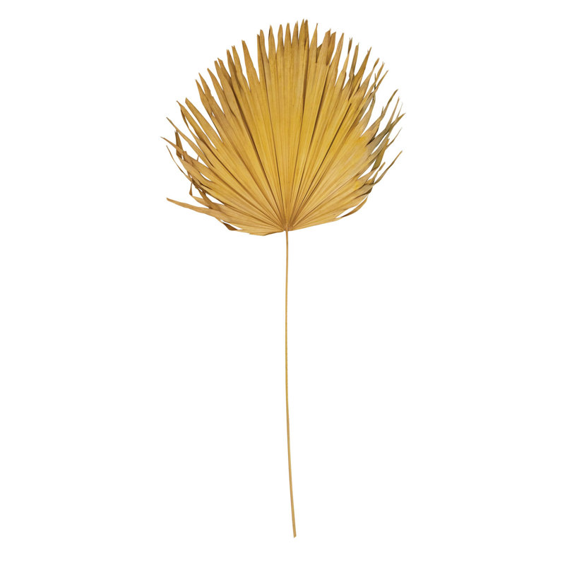 Feuille de palmier séchée Anahaw, Jaune