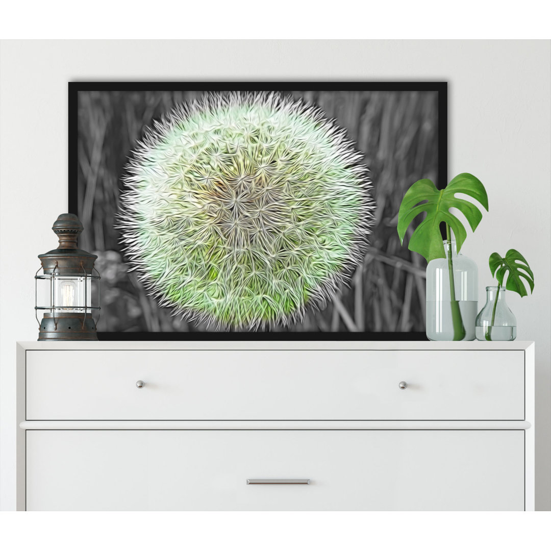 Gerahmter Grafikdruck "Classic, Delicate Dandelion"