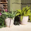 Dehlila 2 Piece Ceramic Pot Planter Set-622730529