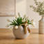 Vase d'appoint avec figurine dorée abstraite-361706802