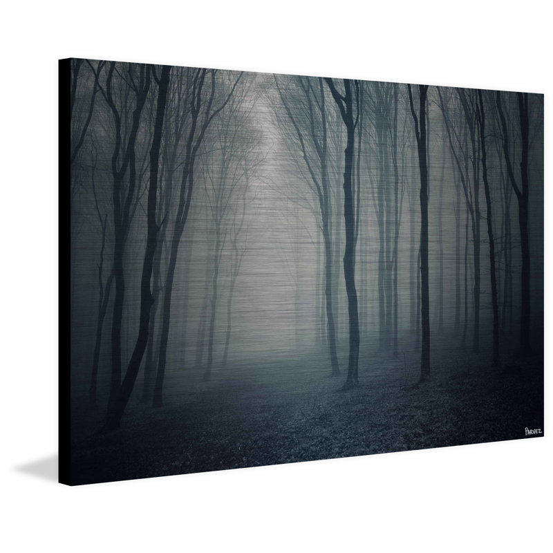 "in the shadows" par parvez taj, reproduction d’art sur métal, H 40 po x l 60 po x P 1,5 po
