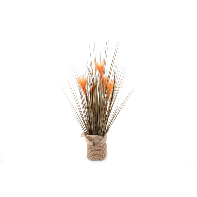 67 cm H Faux Pampas Grass Plant