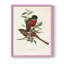«Elegant Trogons I», reproduction encadrée - bois massif-608127424-608127425