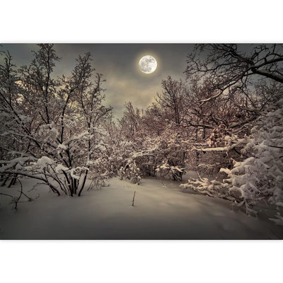 Forest Nature Landscape Peel & Stick Clear Border
