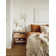 Willa 1 Light Plug-in Plug-in Sconce