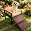 marche pour chien