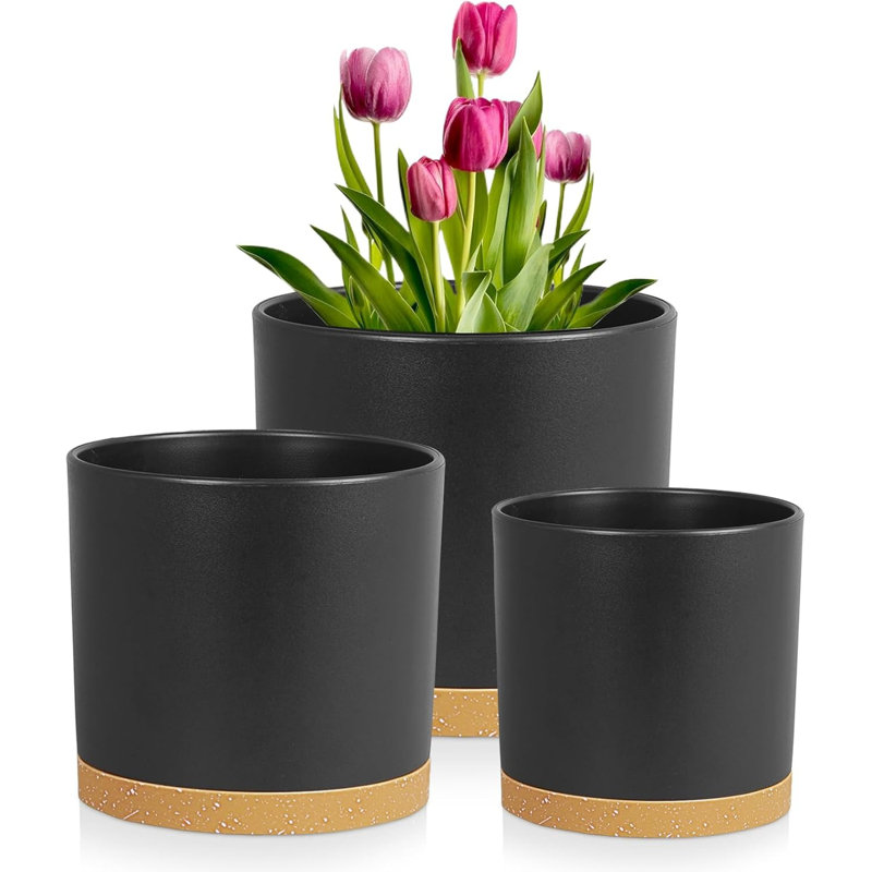 Ensemble de pots à fleurs cylindriques en plastique de 3 (8, 7 et 6 pouces) - noir avec brun