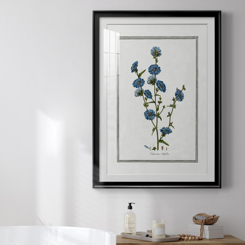 «Soft Botanical I», reproduction encadrée de qualité supérieure, prête à être accrochée, Cadre noir