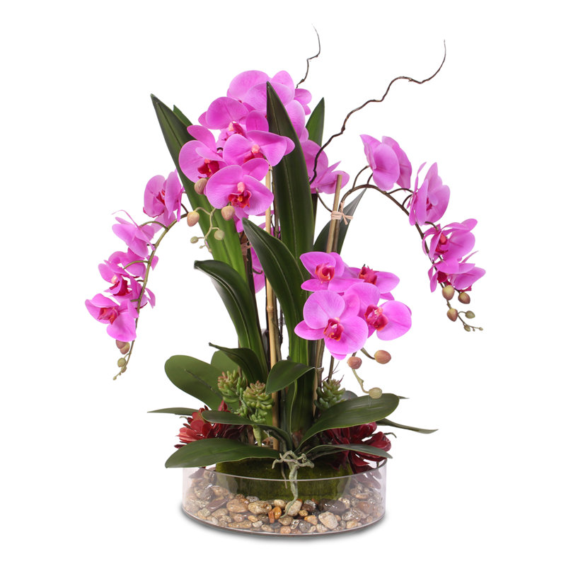 Orchidées et arrangements floraux en pot