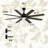 Standard Ceiling Fan DC Motor With Remote Control And Light