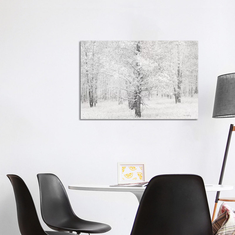 Snow Covered Cottonwood Trees by Alan Majchrowicz - Wrapped Canvas Print, 66.04cm H x 101.6cm W x 1.91cm D