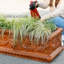 Vintage Lion Head Concrete Rectangular Planter - 42.5" L. x 19" W. x 14.5" H. Rust Colour