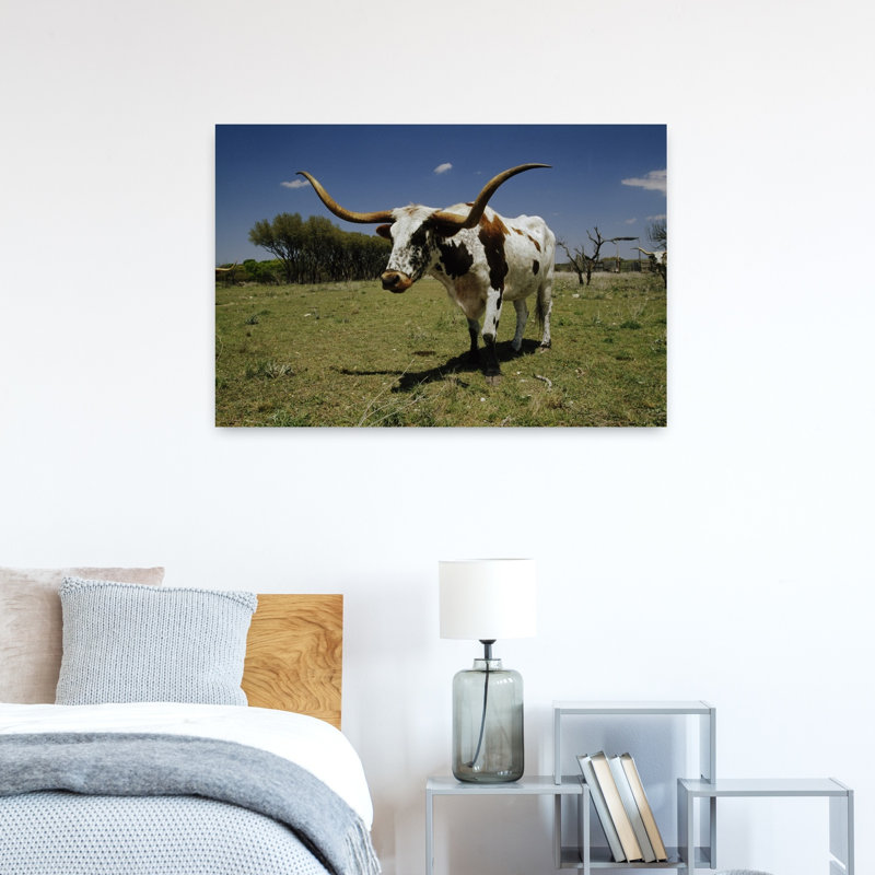 Texas Longhorn, bovin debout dans un champ, paysage contemporain contemporain, art mural, H 24 po x l 36 po