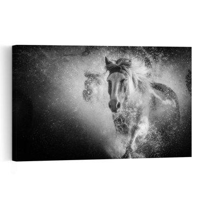 «Powerful Horse Splash», reproduction d'art murale cheval contemporain