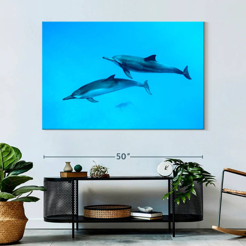 Brampt Maui Spinner Dolphins, 34" H x 51" W