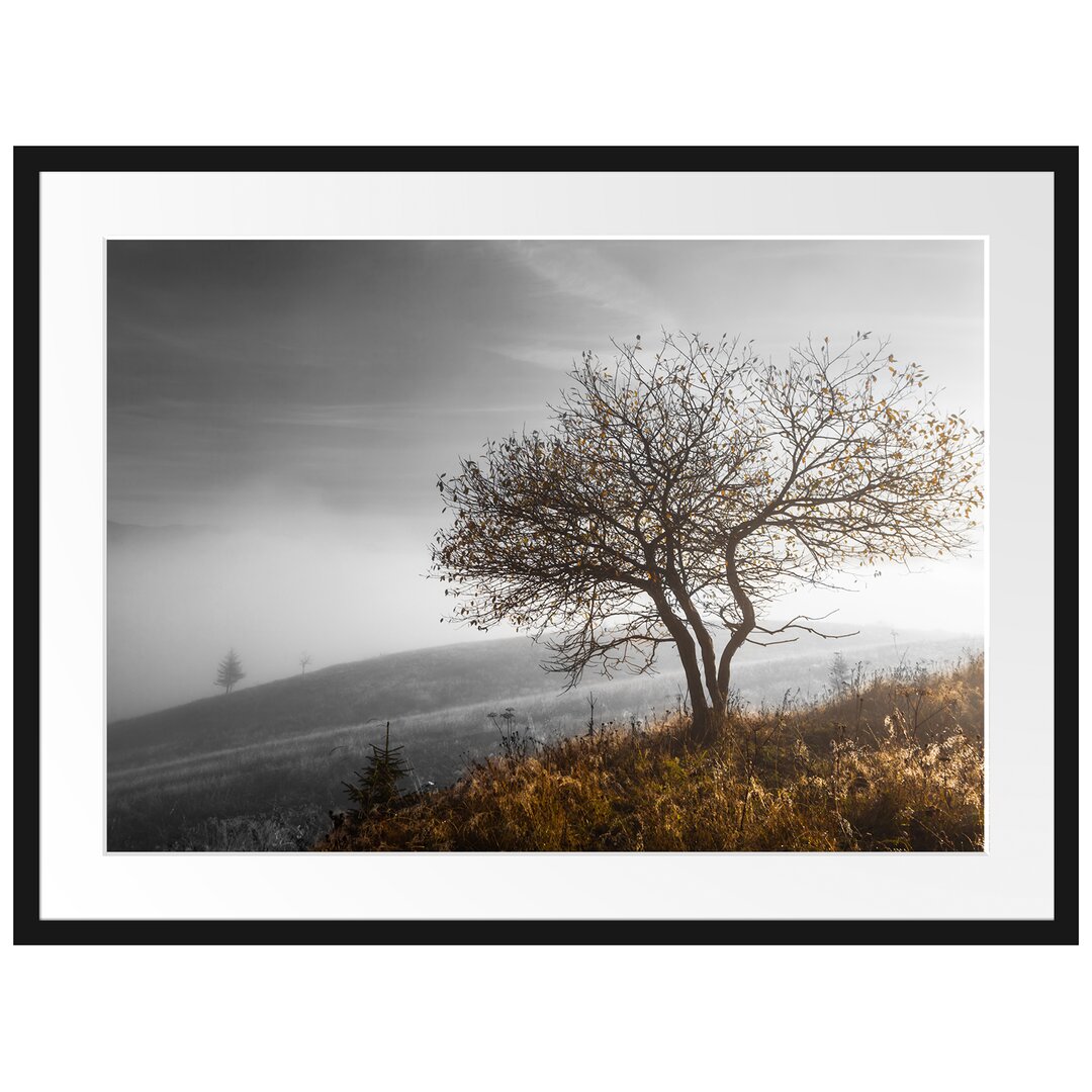 Gerahmtes Poster Einsamer Baum auf Berg