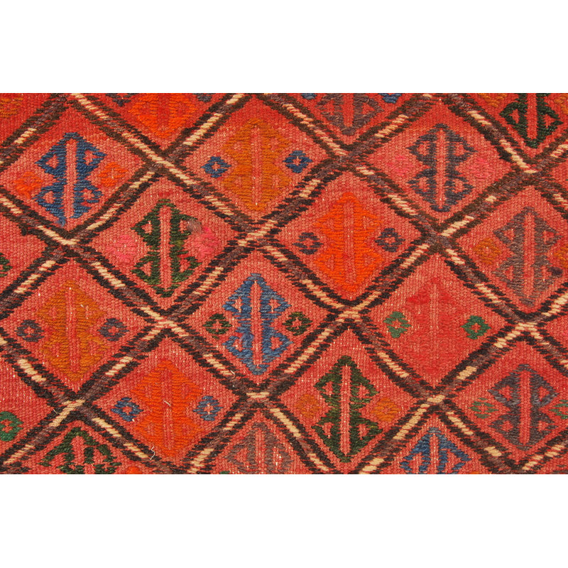Blendia 71cm X 217cm Area Rug