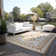 Dynamic Ornamental Indoor / Outdoor Area Rug