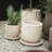 Sand Terra Pot-127664502