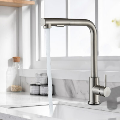 Belfry Kitchen Madawaska Pull Out Kitchen Faucet