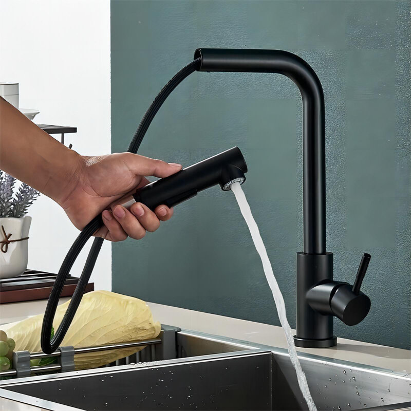 Belfry Kitchen Ansel Pull Out Kitchen Faucet