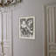 Plants & Flowers Print by Darrell Kincer-2067937741