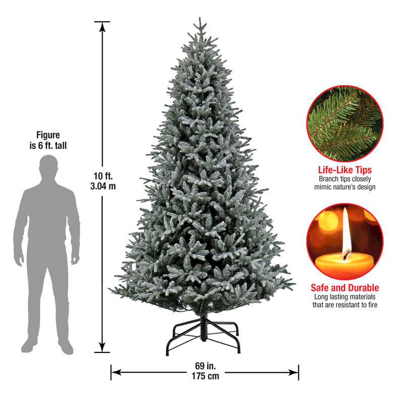 10 Ft. Holliston Tree, 10' H