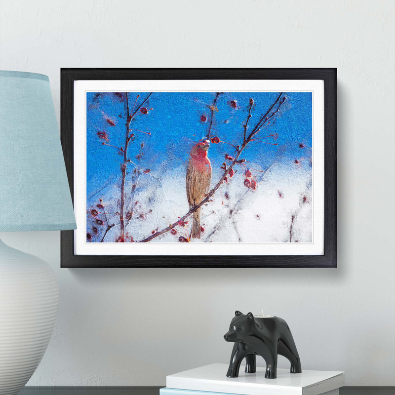 House Finch Bird - Framed Print, 27cm H x 36cm W x 2cm D, Black Framed