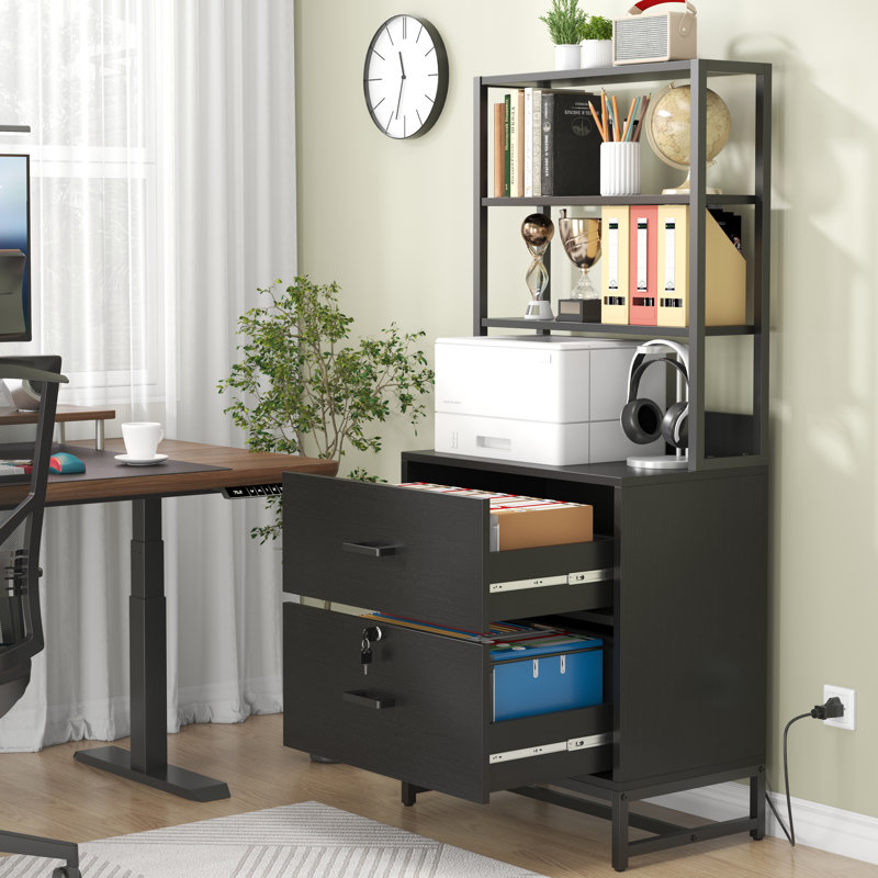 Jaceyon 25.6 Wide 2 -Drawer File Cabinet