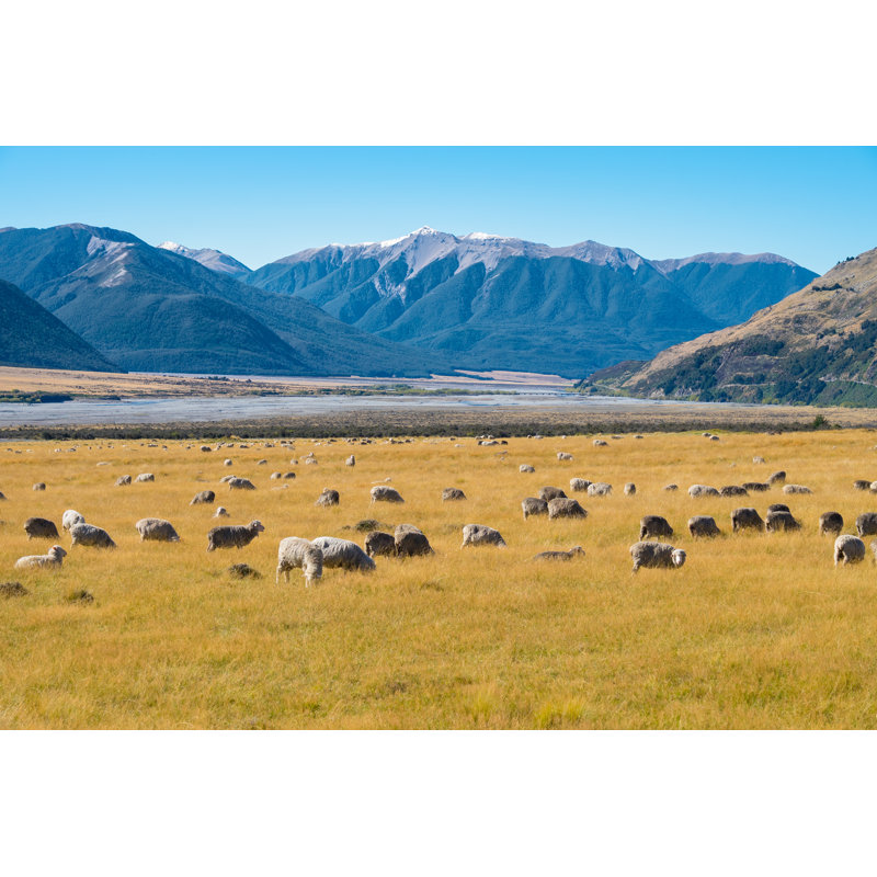 Flock Of Sheep In New Zealand by Puripatl - Wrapped Canvas Print, 20cm H x 30cm W x 3.8cm D