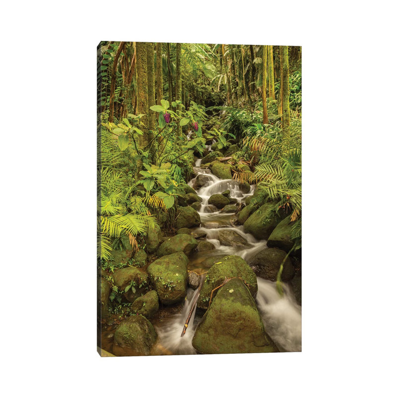 USA, Hawaii, Hawaii Tropical Botanical Garden. Tropical stream cascade over rocks. 1 Piece Wrapped Canvas Wall Art