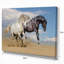 Chevaux blancs et noirs au galop dans le désert - reproduction de photo sur toile tendue-29495875