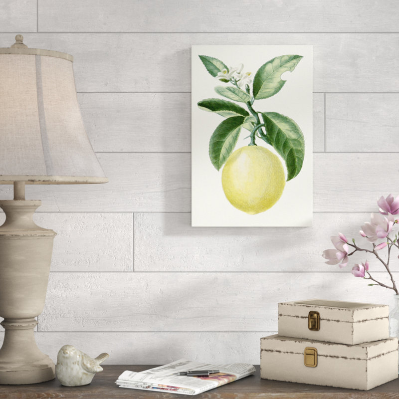 Turpin Fruit I by Turpin - Painting on Canvas, 46cm H x 30cm W, Wrapped Canvas