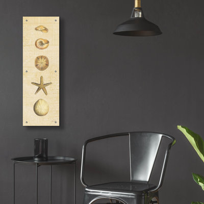 Coastal Shells 2' by Katie Pertiet Acrylic Glass Wall Art