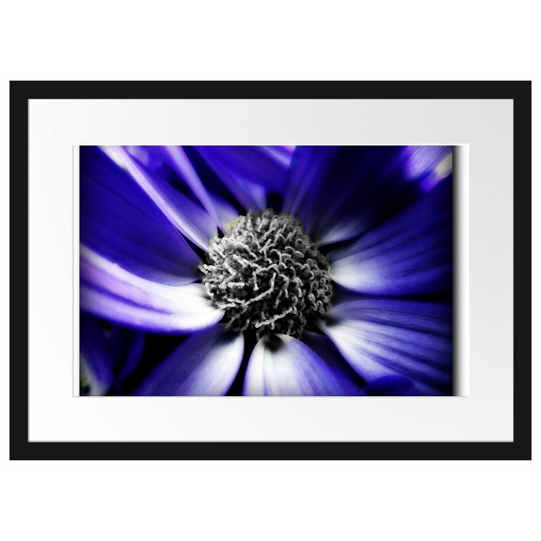 Gerahmter Fotodruck Beautiful Daisy