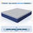 Avenco 14'' Medium Soft Gel Memory Foam Hybrid Mattress-1742156142