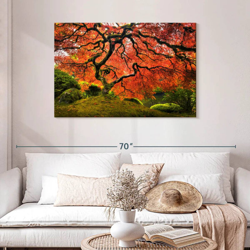 Harnek Japanese Maple, 30" H x 45" W