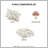Mushroom Garden Comforter Set