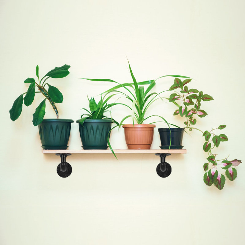 Arguijo Pipe Shelf Bracket