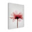 Art sur toile pivoine rose Bolz-103094326