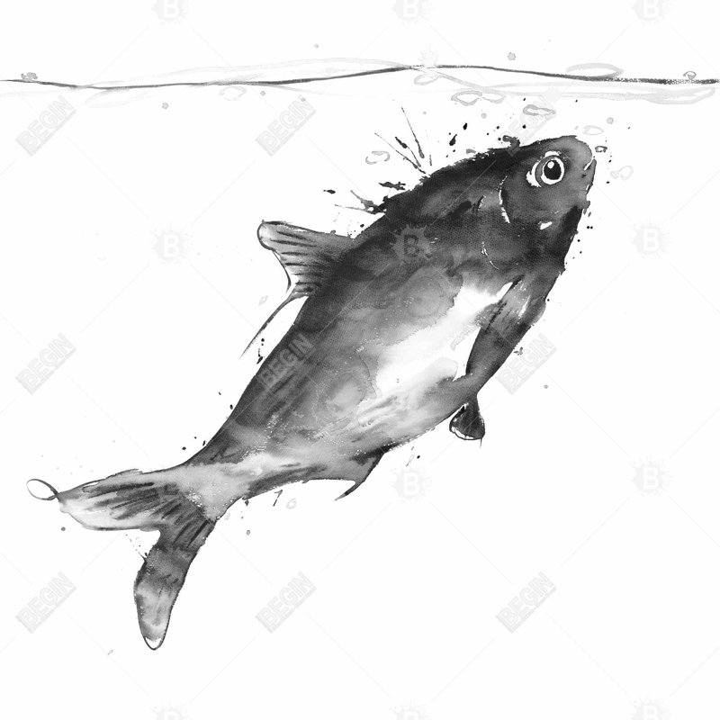«Happy Natation Fish»