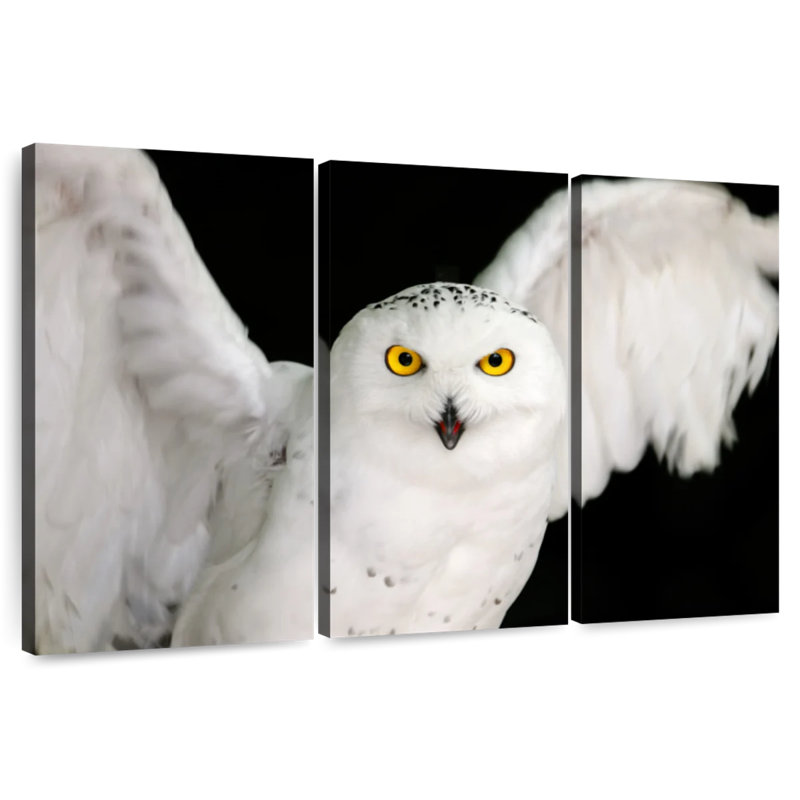 White Owl, 32" H x 50" W