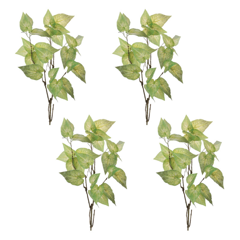 Anthurium Leaf Branch