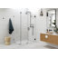 46" W Pivot Frameless Shower Door-371031029