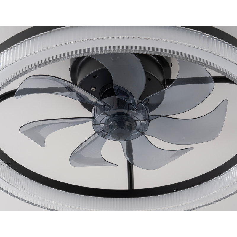 Kiper 13.78'' Ceiling Fan with LED Lights