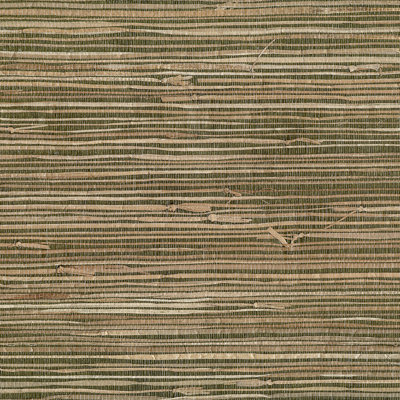 Grasscloth Grass Cloth Wallpaper Roll