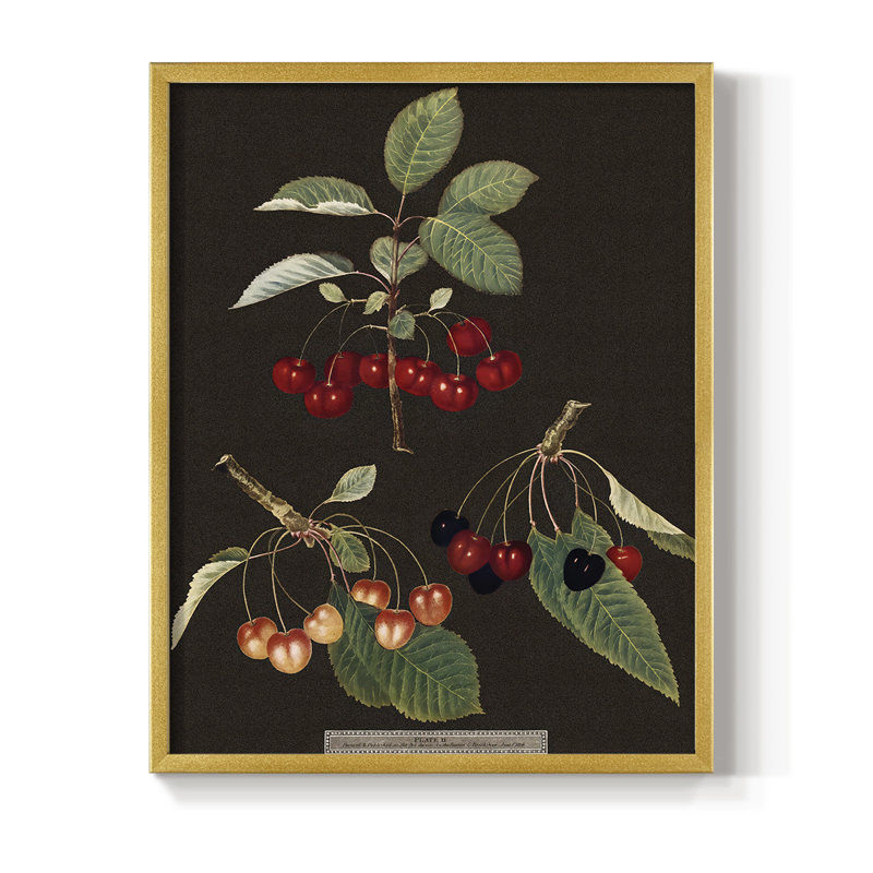 Brookshaw Cherries, reproduction encadrée - bois massif, Or, H 10 po x l 8 po