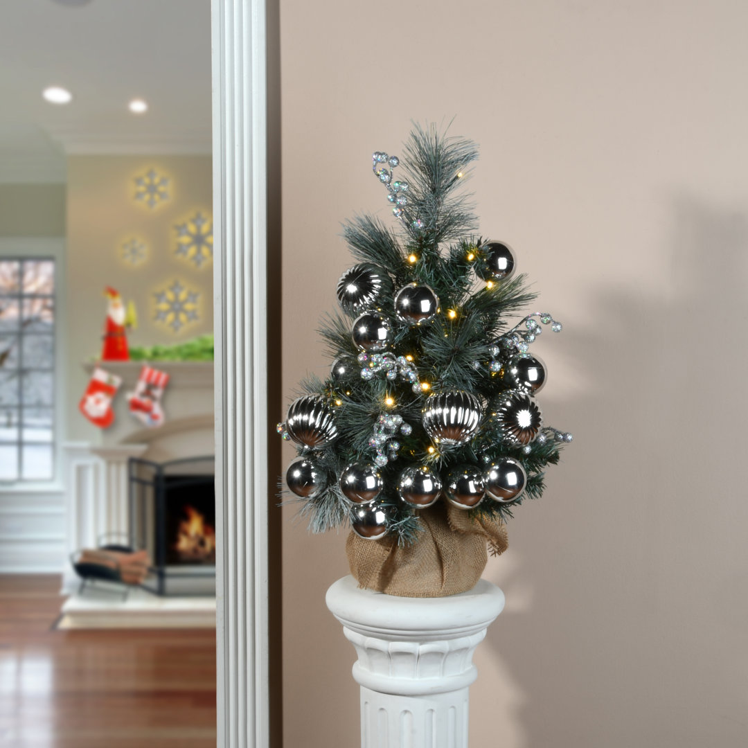 2' Lighted Pine Christmas Tree The Holiday Aisle®