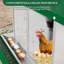 ‌ Boîte de nidification pour poulets en acier galvanisé avec plateau à œufs sur roulettes - 10 trous, antirouille et boîtes de pondération ventilées pour poules, poules, canards | Accessoires de poulailler faciles à nettoyer, vert-482785891
