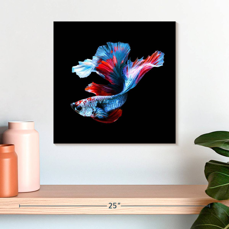 Brampt Elegant Betta Fish, 16" H x 16" W